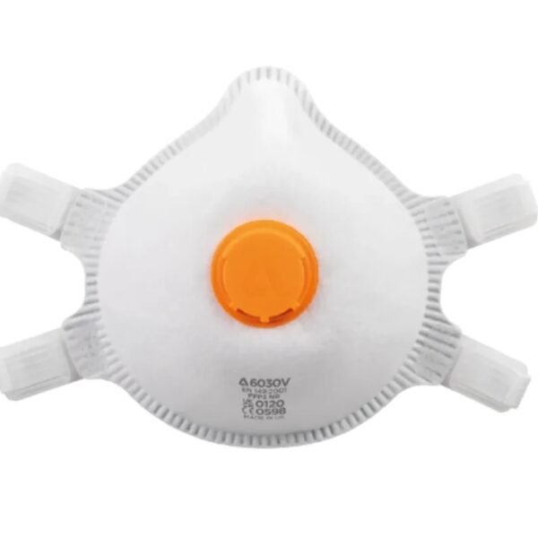 Protective Respiratory Mask - 10 units